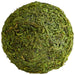 Cyan - 07298 - Filler - Bermuda - Green Moss