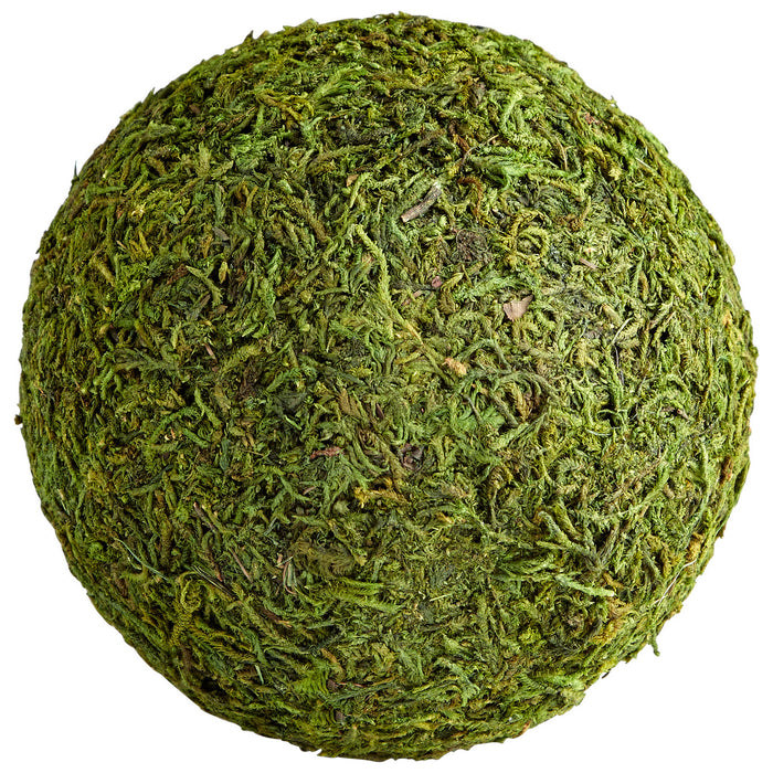 Cyan - 07299 - Filler - Bermuda - Green Moss