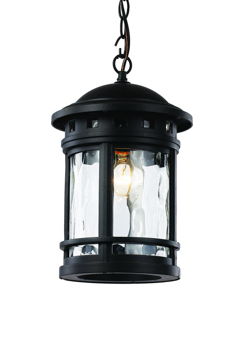 Trans Globe Imports - 40375 BK - One Light Hanging Lantern - Boardwalk - Black
