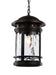 Trans Globe Imports - 40376 BK - One Light Hanging Lantern - Boardwalk - Black