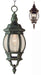 Trans Globe Imports - 4065 RT - One Light Hanging Lantern - Parsons - Rust