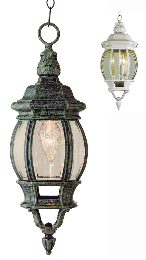 Trans Globe Imports - 4065 WH - One Light Hanging Lantern - Parsons - White
