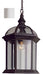 Trans Globe Imports - 4183 WH - One Light Hanging Lantern - Wentworth - White