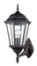 Trans Globe Imports - 4250 RT - One Light Wall Lantern - San Rafael - Rust