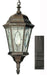 Trans Globe Imports - 4717 BK - One Light Hanging Lantern - Villa Nueva - Black