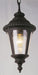 Trans Globe Imports - 5049 BK - One Light Hanging Lantern - Commons - Black