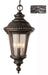 Trans Globe Imports - 5049 SWI - One Light Hanging Lantern - Commons - Swedish Iron