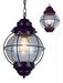 Trans Globe Imports - 69906 RBZ - One Light Hanging Lantern - Catalina - Rustic Bronze