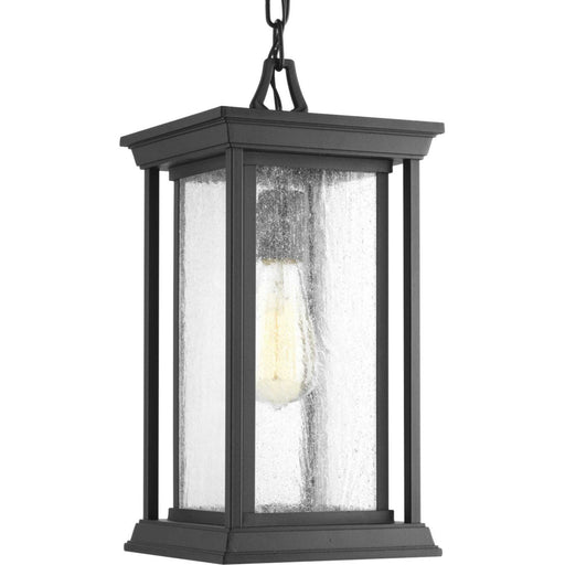 Progress Lighting - P5500-31 - One Light Hanging Lantern - Endicott - Black
