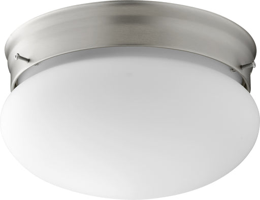 Two Light Ceiling Mount