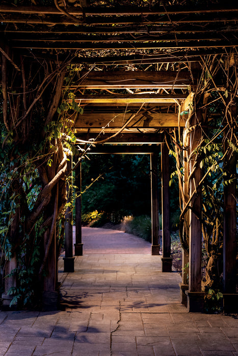 LED Landscape Accent-Exterior-Kichler-Lighting Design Store