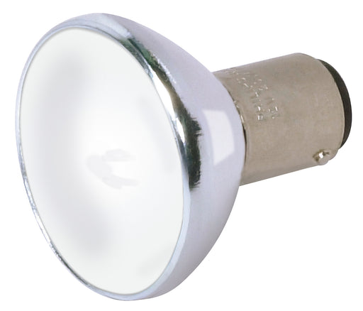 Satco - S4189 - Light Bulb - Frosted