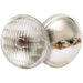 Satco - S4301 - Light Bulb - Translucent