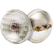 Satco - S4302 - Light Bulb - Translucent