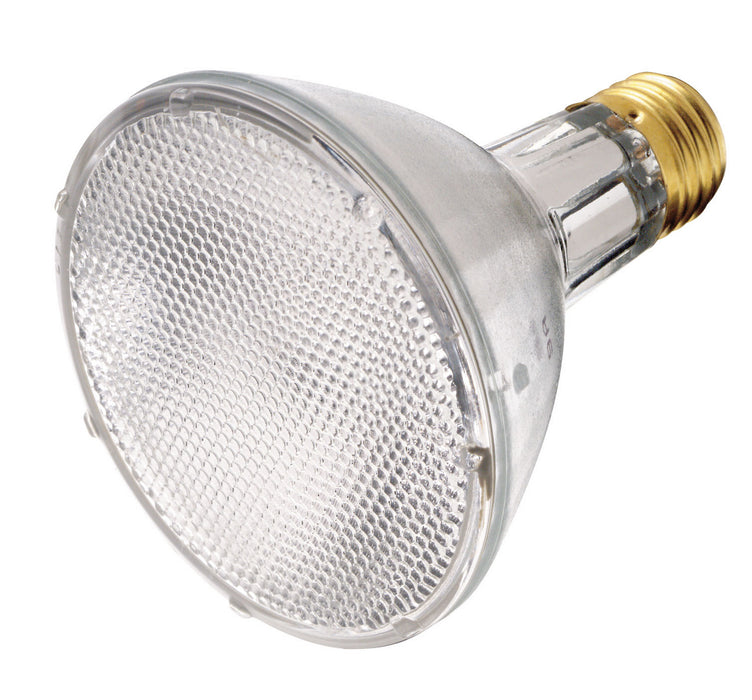 Satco - S4877 - Light Bulb - Clear