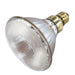 Satco - S4898 - Light Bulb - Clear