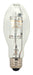 Satco - S5862 - Light Bulb - Clear
