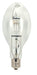 Satco - S5888 - Light Bulb - Clear