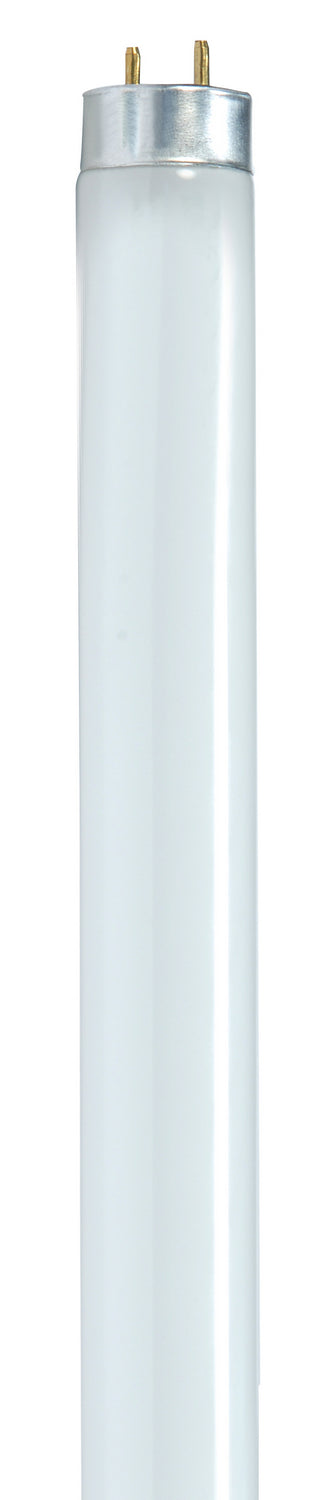 Satco - S8404 - Light Bulb - White
