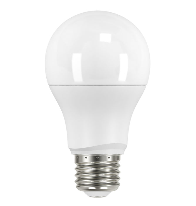 Satco - S9594 - Light Bulb - Frosted White