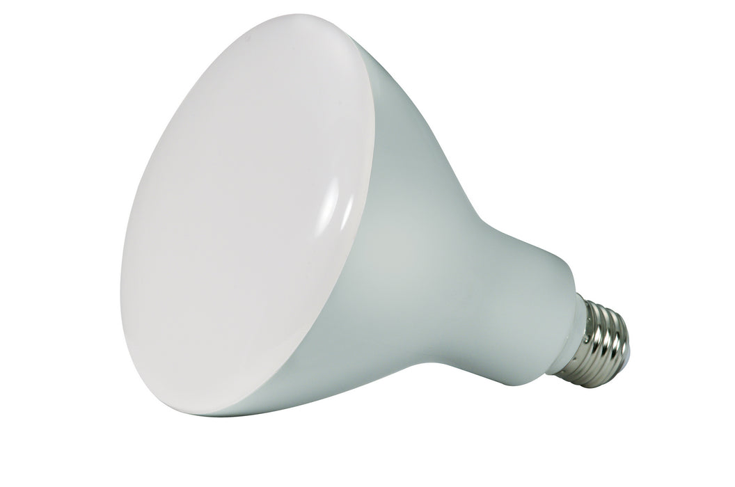 Satco - S9641 - Light Bulb - Frosted White