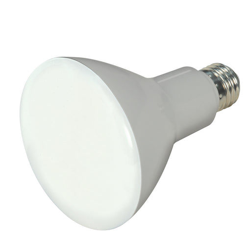 Satco - S9698 - Light Bulb - Frosted