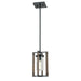 DVI Lighting - DVP38621GR+IW-CL - One Light Mini-Pendant - Okanagan - Graphite and Ironwood on Metal with Clear Glass