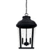 Capital Lighting - 927033BK - Three Light Outdoor Hanging Lantern - Dunbar - Black