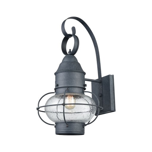 Onion Outdoor Wall Sconce