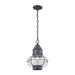 Elk Lighting - 57173/1 - One Light Outdoor Hanging Lantern - Onion - Aged Zinc