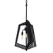 Varaluz - 262F03BL - Three Light Foyer Pendant - Gymnast - Black