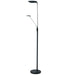Dainolite Ltd - 170LEDF-BK - LED Floor Lamp - Black
