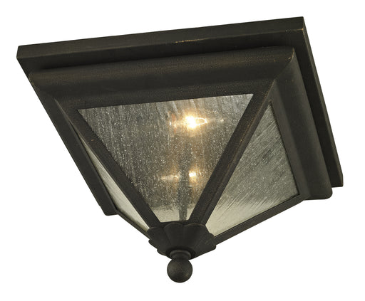 Troy Lighting - C6470 - Two Light Flush Mount - Geneva - Vintage Bronze
