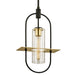 Smyth Hanging Lantern-Exterior-Troy Lighting-Lighting Design Store