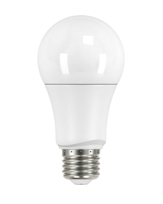 Satco - S29629 - Light Bulb - Frosted