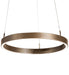Meyda Tiffany - 202453 - LED Pendant - Anillo - Bronze