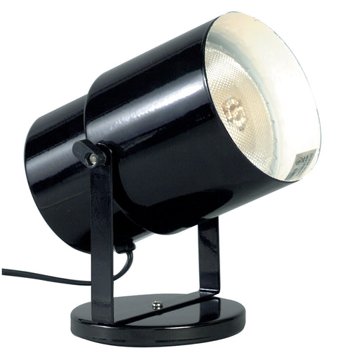 Nuvo Lighting - SF77-394 - One Light Plant Lamp - Black/steel