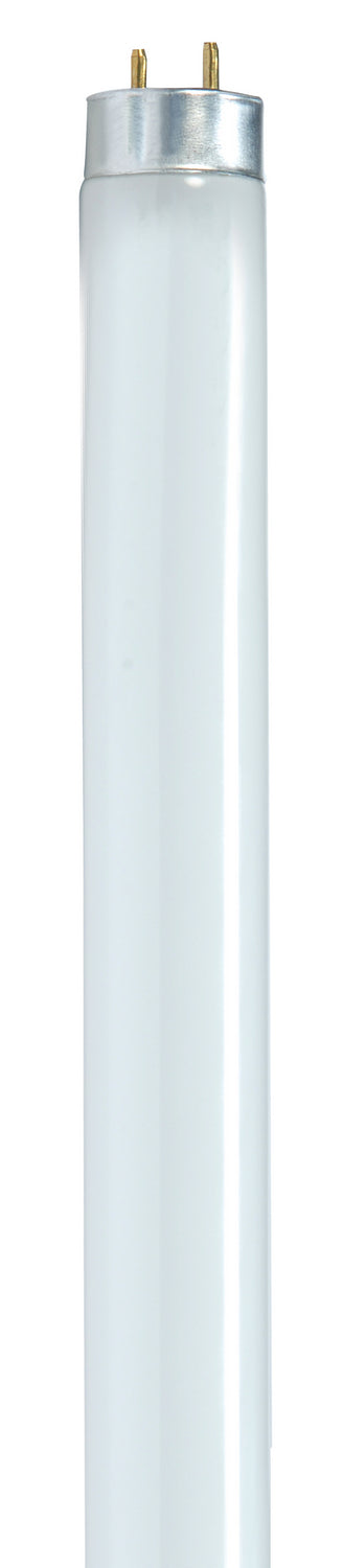 Satco - S8421-TF - Light Bulb - White