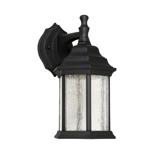 Forte - 17102-04 - LED Outdoor Lantern - Black