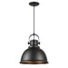 Forte - 7110-01-04 - One Light Pendant - Black