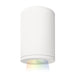 W.A.C. Lighting - DS-CD05-F-CC-WT - LED Flush Mount - Tube Arch - White
