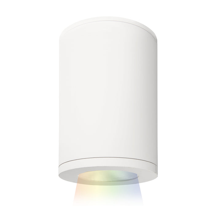 W.A.C. Lighting - DS-CD05-N-CC-WT - LED Flush Mount - Tube Arch - White