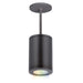 W.A.C. Lighting - DS-PD05-F-CC-BK - LED Pendant - Tube Arch - Black