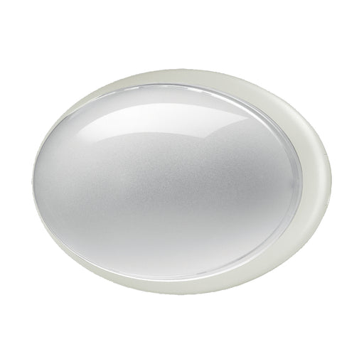 Eurofase - 23904-019 - One Light Wall Sconce - Class Oval - White
