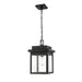 Millennium - 2665-PBK - One Light Outdoor Hanging Lantern - Belle Chasse - Powder Coat Black