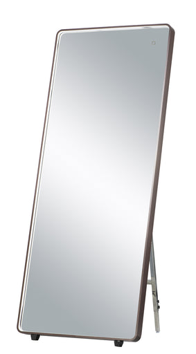 LED Mirror