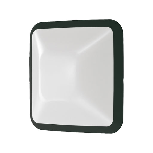 Eurofase - 23912-021 - One Light In Wall - Excell - Black