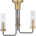 Rainey Semi-Flush Convertible-Mini Chandeliers-Progress Lighting-Lighting Design Store