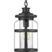 Progress Lighting - P550031-031 - One Light Hanging Lantern - Haslett - Black