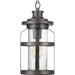 Progress Lighting - P550031-103 - One Light Hanging Lantern - Haslett - Antique Pewter